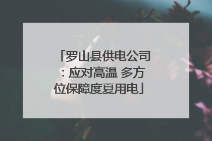 罗山县供电公司：应对高温 多方位保障度夏用电
