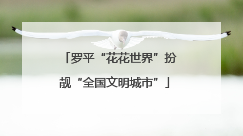 罗平“花花世界”扮靓“全国文明城市”