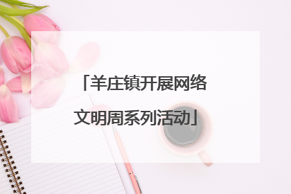 羊庄镇开展网络文明周系列活动