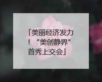 美丽经济发力！“美创静界”首秀上交会