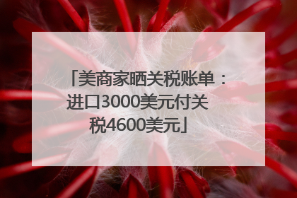 美商家晒关税账单：进口3000美元付关税4600美元