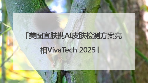 美图宜肤携AI皮肤检测方案亮相VivaTech 2025