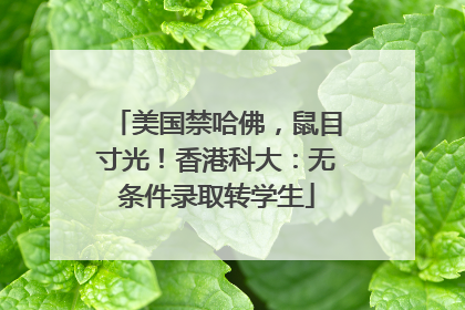 美国禁哈佛，鼠目寸光！香港科大：无条件录取转学生