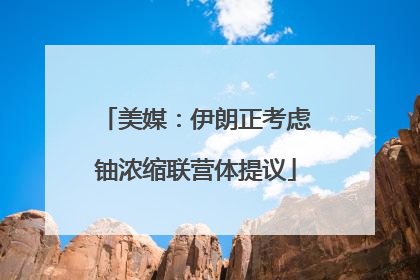 美媒：伊朗正考虑铀浓缩联营体提议