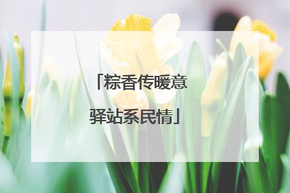 粽香传暖意 驿站系民情