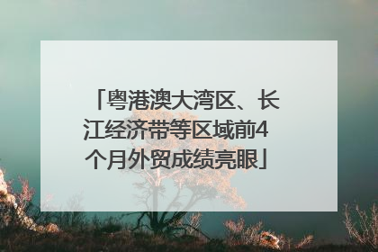 粤港澳大湾区、长江经济带等区域前4个月外贸成绩亮眼