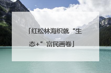 红松林海织就“生态+”富民画卷