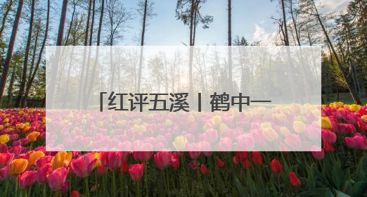 红评五溪丨鹤中一体化交通需先行