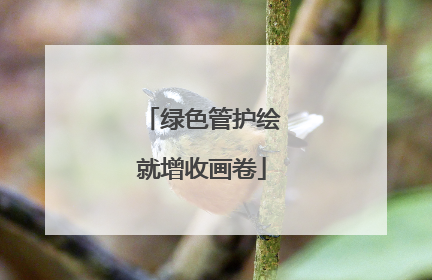 绿色管护绘就增收画卷
