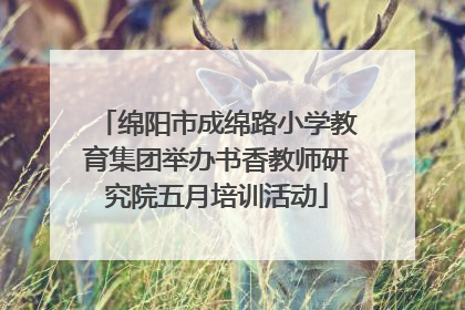 绵阳市成绵路小学教育集团举办书香教师研究院五月培训活动