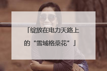 绽放在电力天路上的“雪域格桑花”