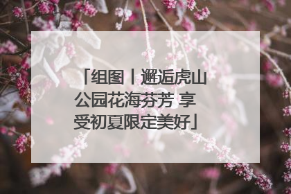 组图丨邂逅虎山公园花海芬芳 享受初夏限定美好