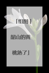 组图丨韶山的黄桃熟了