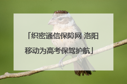 织密通信保障网 洛阳移动为高考保驾护航