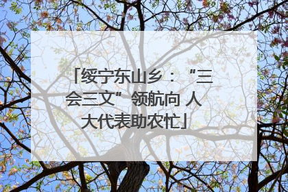 绥宁东山乡：“三会三文”领航向 人大代表助农忙