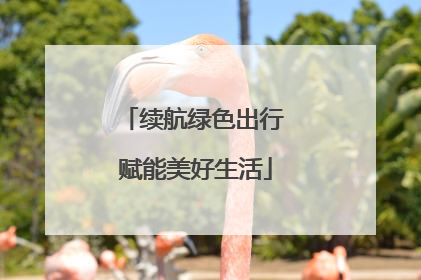 续航绿色出行 赋能美好生活