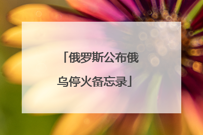 俄罗斯公布俄乌停火备忘录