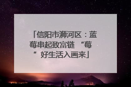 信阳市浉河区：蓝莓串起致富链 “莓”好生活入画来