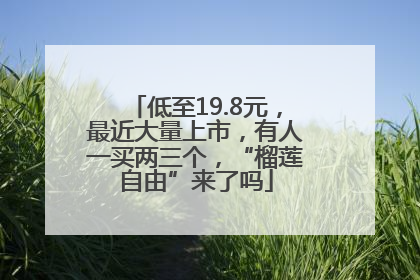低至19.8元，最近大量上市，有人一买两三个，“榴莲自由”来了吗