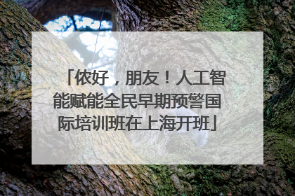侬好，朋友！人工智能赋能全民早期预警国际培训班在上海开班