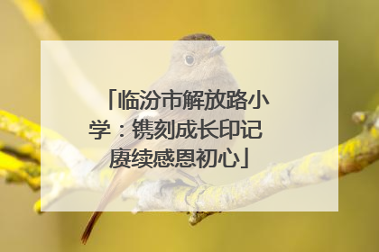 临汾市解放路小学：镌刻成长印记 赓续感恩初心