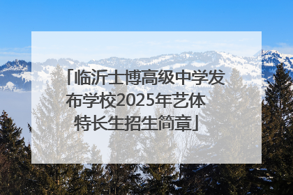 临沂士博高级中学发布学校2025年艺体特长生招生简章