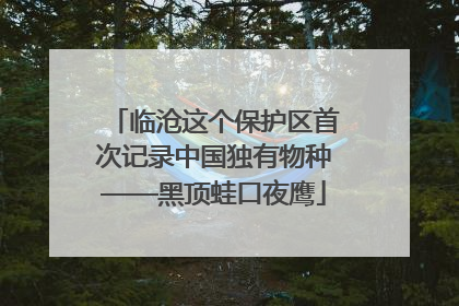 临沧这个保护区首次记录中国独有物种——黑顶蛙口夜鹰