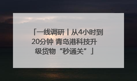一线调研丨从4小时到20分钟 青岛港科技升级货物“秒通关”