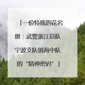 一份特殊的花名册：武警浙江总队宁波支队镇海中队的“精神密码”