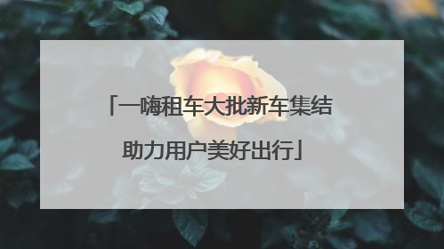 一嗨租车大批新车集结 助力用户美好出行