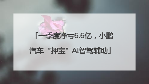 一季度净亏6.6亿，小鹏汽车“押宝”AI智驾辅助