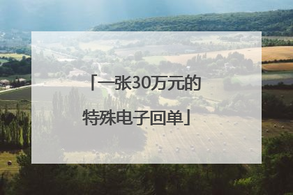 一张30万元的特殊电子回单