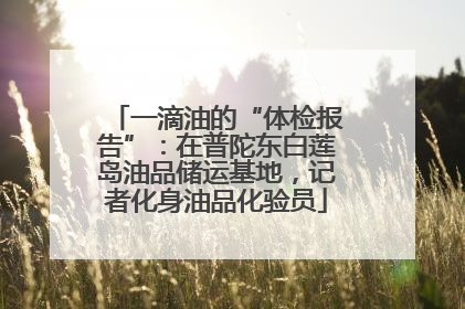 一滴油的“体检报告”：在普陀东白莲岛油品储运基地，记者化身油品化验员