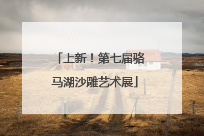上新！第七届骆马湖沙雕艺术展