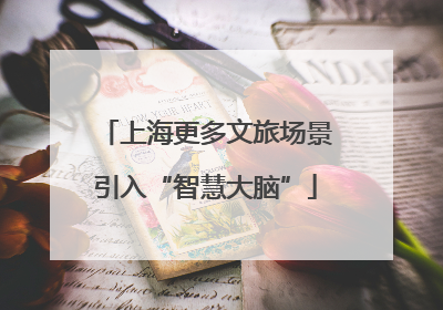 上海更多文旅场景引入“智慧大脑”