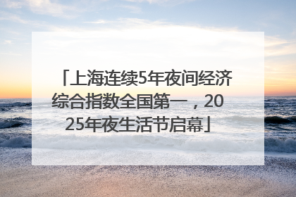 上海连续5年夜间经济综合指数全国第一，2025年夜生活节启幕