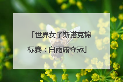 世界女子斯诺克锦标赛：白雨露夺冠