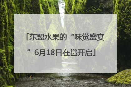 东盟水果的“味觉盛宴”6月18日在邕开启
