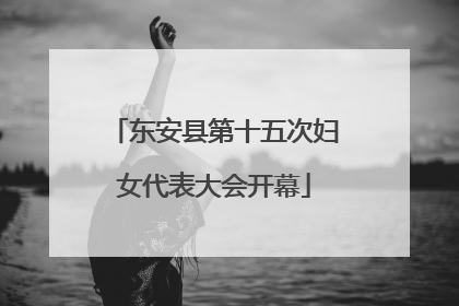 东安县第十五次妇女代表大会开幕