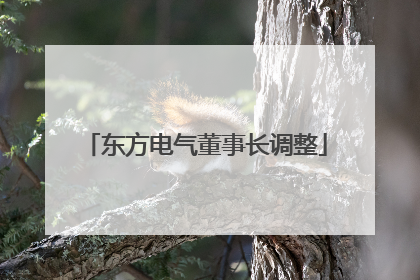 东方电气董事长调整