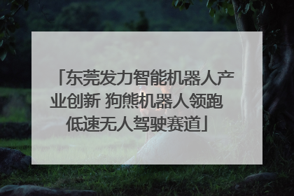 东莞发力智能机器人产业创新 狗熊机器人领跑低速无人驾驶赛道