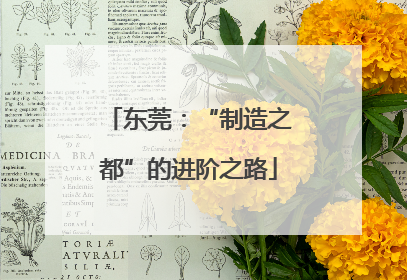 东莞：“制造之都”的进阶之路