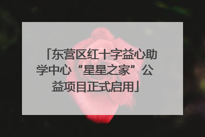 东营区红十字益心助学中心“星星之家”公益项目正式启用