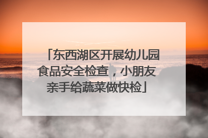 东西湖区开展幼儿园食品安全检查，小朋友亲手给蔬菜做快检