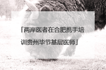 两岸医者在合肥携手培训贵州毕节基层医师