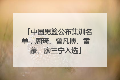 中国男篮公布集训名单，周琦、曾凡博、雷蒙、廖三宁入选
