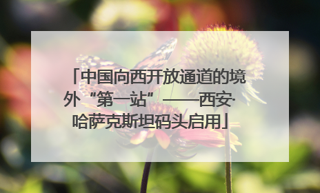 中国向西开放通道的境外“第一站”——西安·哈萨克斯坦码头启用