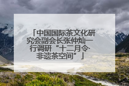 中国国际茶文化研究会副会长张仲灿一行调研“十二月令·非遗茶空间”