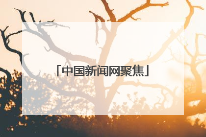 中国新闻网聚焦