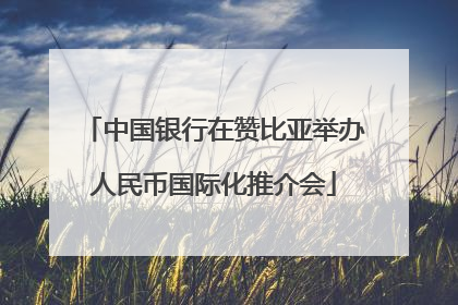 中国银行在赞比亚举办人民币国际化推介会